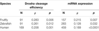 Conservation of Differential Animal MicroRNA Processing by Drosha and Dicer